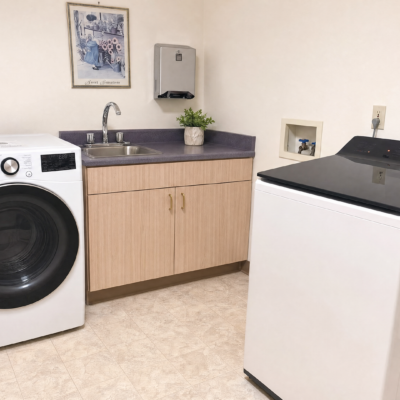 A laundry room with a washing machine on the left, a countertop with a sink and faucet in the middle, a small potted plant and framed picture above the sink, and a dryer on the right.